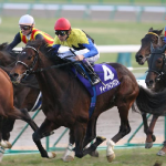 競馬・有馬記念（GⅠ）を山本昌氏が語る。往年の名馬ディープインパクト、オルフェーヴルも。